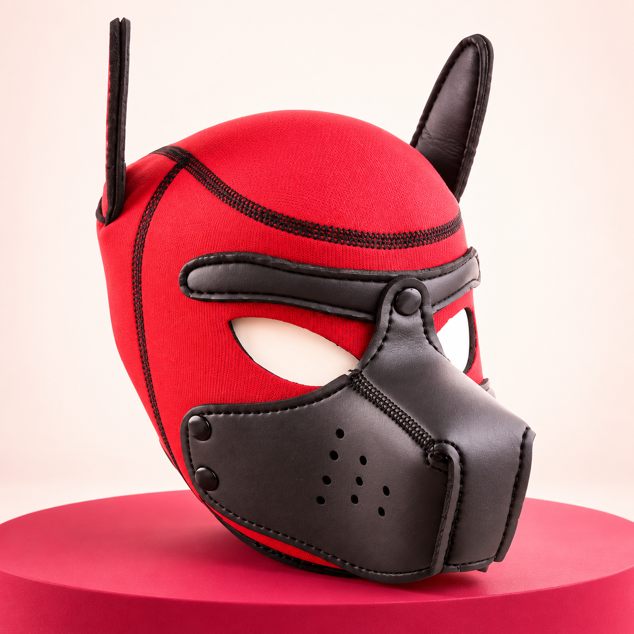 Mask Dog