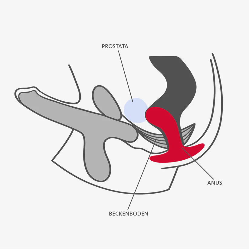 Bootie S - Estimulador Anal